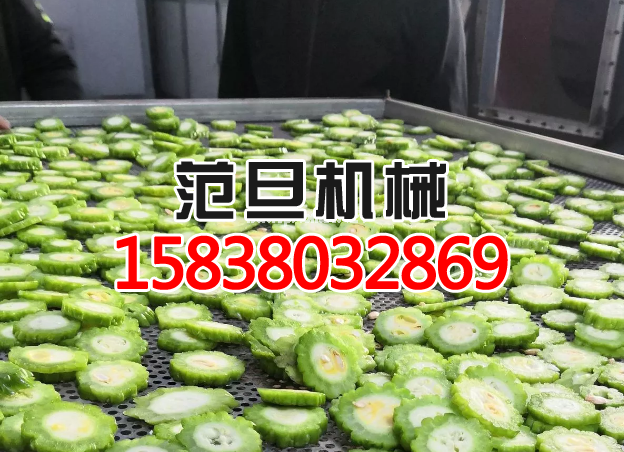 苦瓜片烘干試機效果