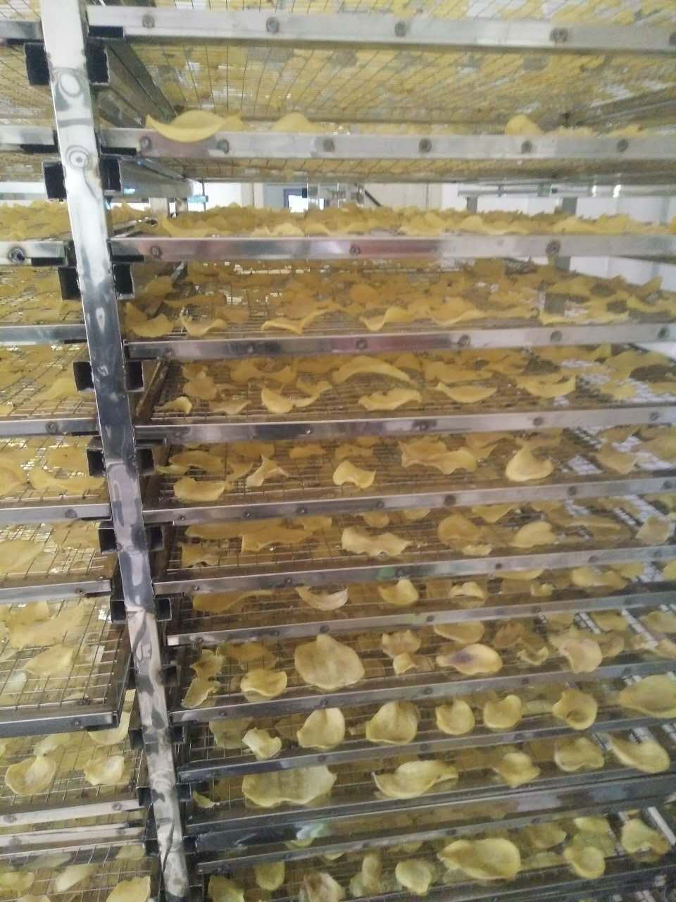 土豆片烘干工藝