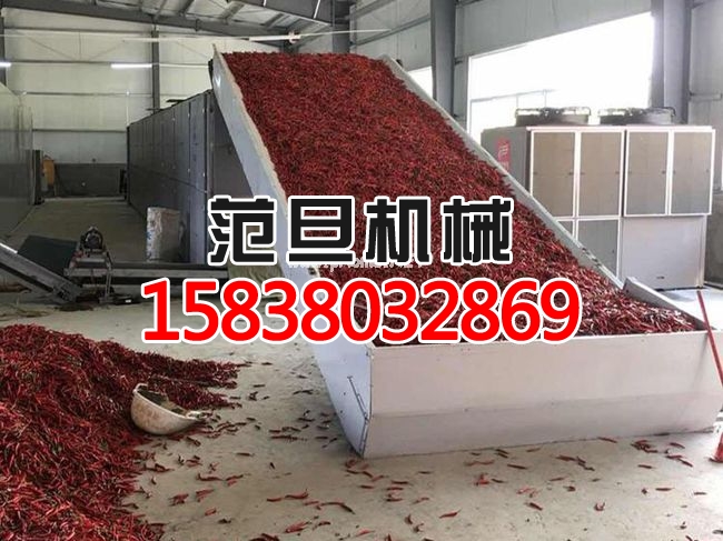 辣椒網(wǎng)帶烘干機客戶現(xiàn)場